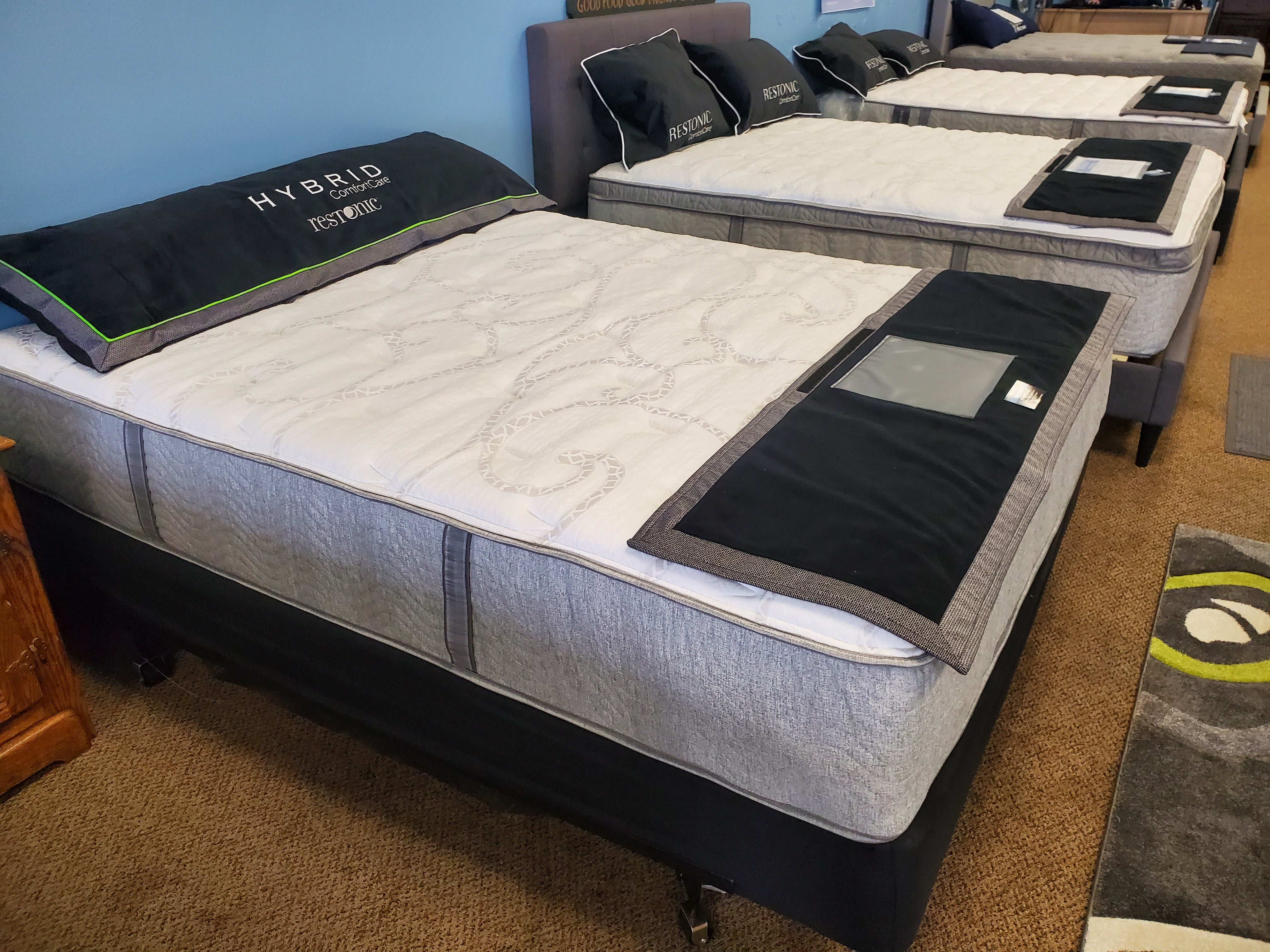 Ainsley Scott - Plush